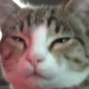 Meet your Posher, Daniella